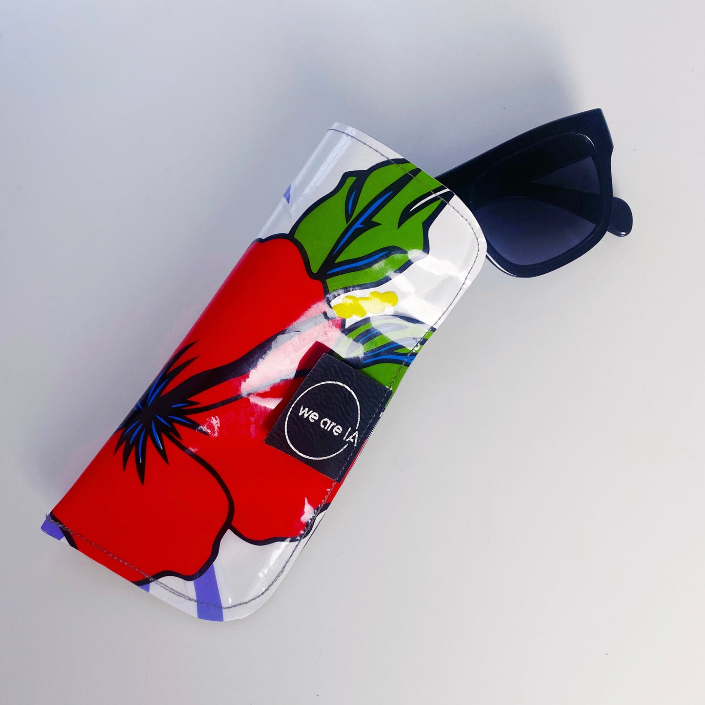 Sunglasses Case