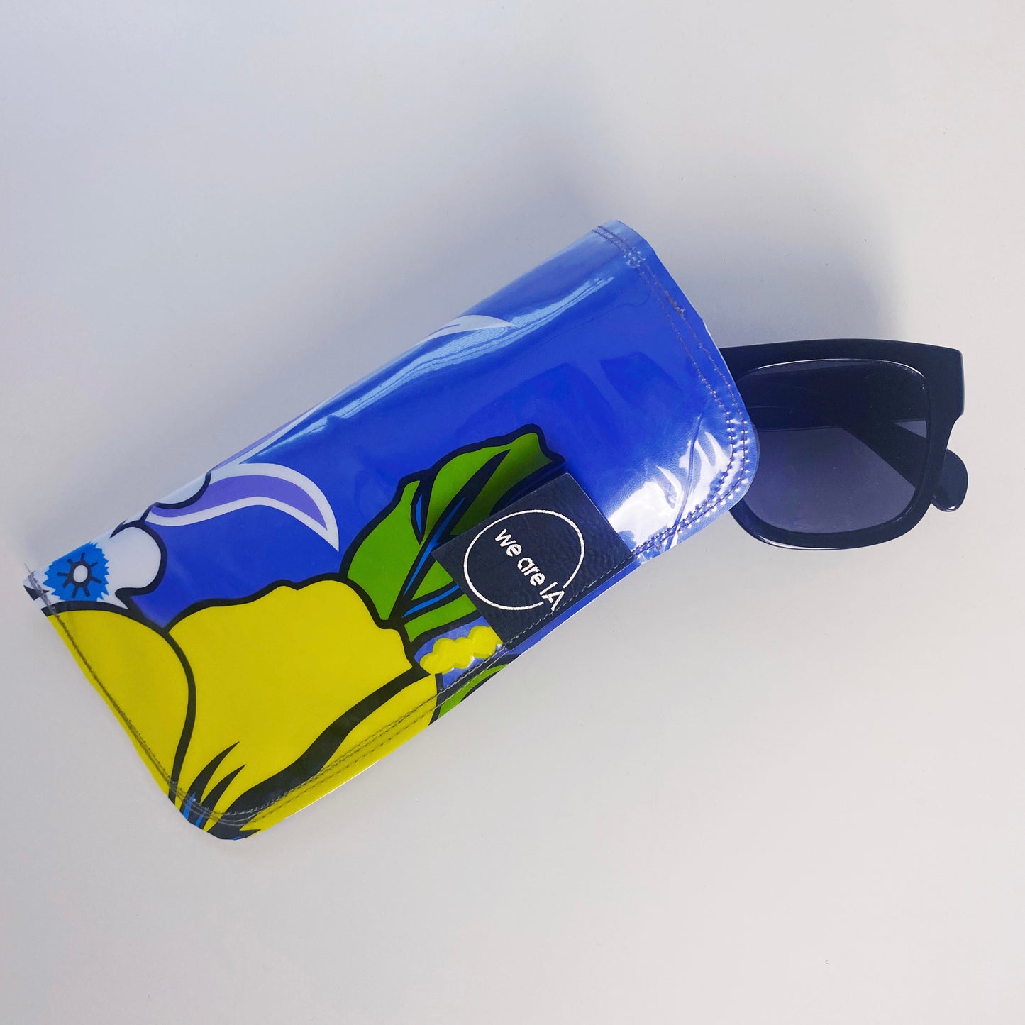 Sunglasses Case