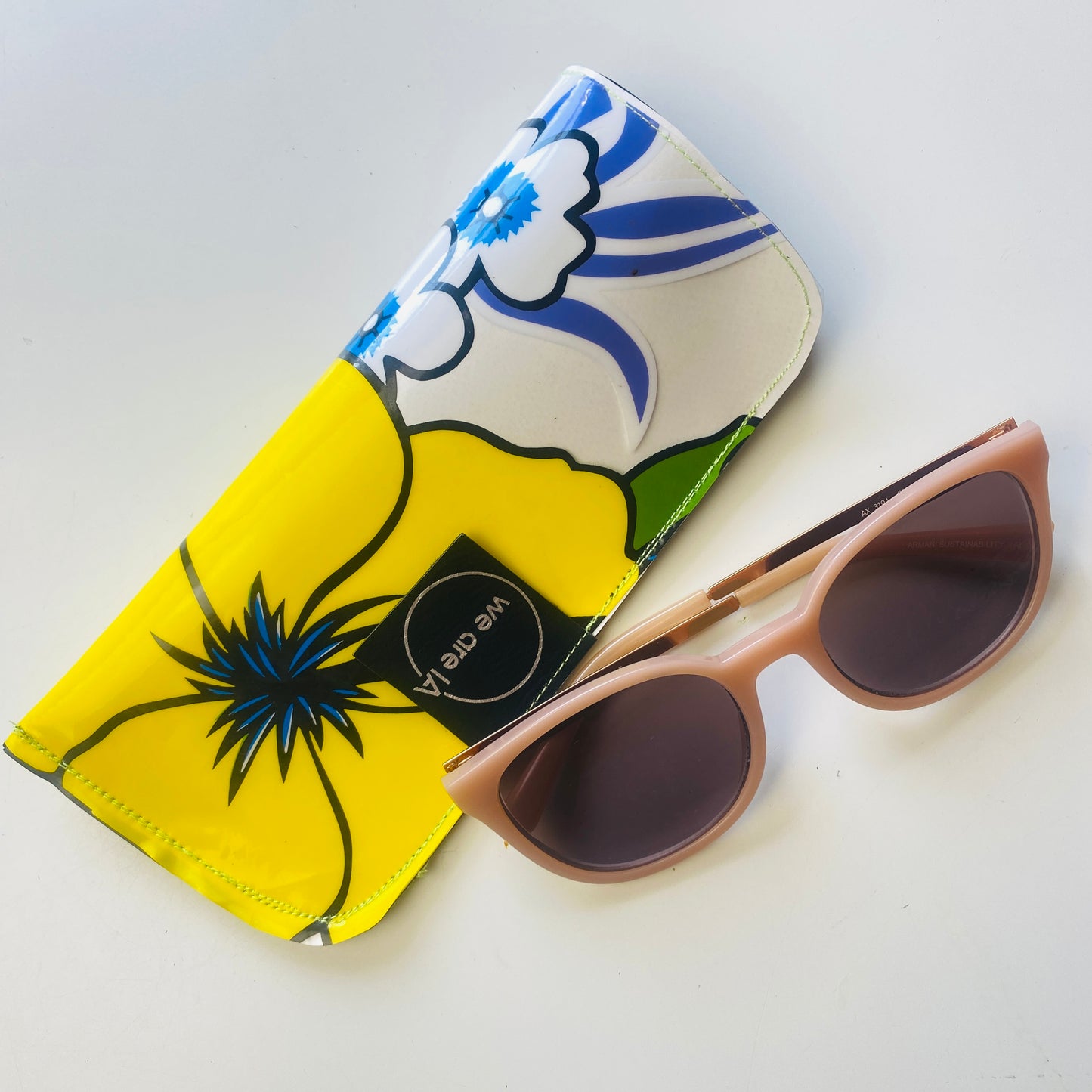 Sunglasses Case