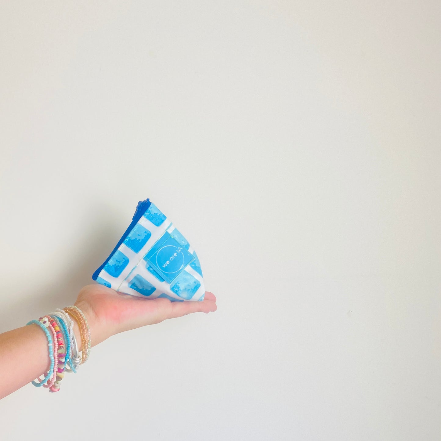 Mini Triangle Zip Pouch